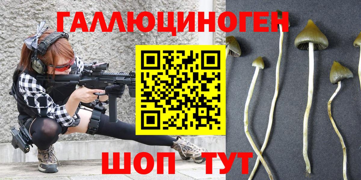 Галлюциногенные грибы Magic Shrooms  Псилоцибиновые грибы мицелий  наркотики  Вход с VPN  Нижний Новгород 